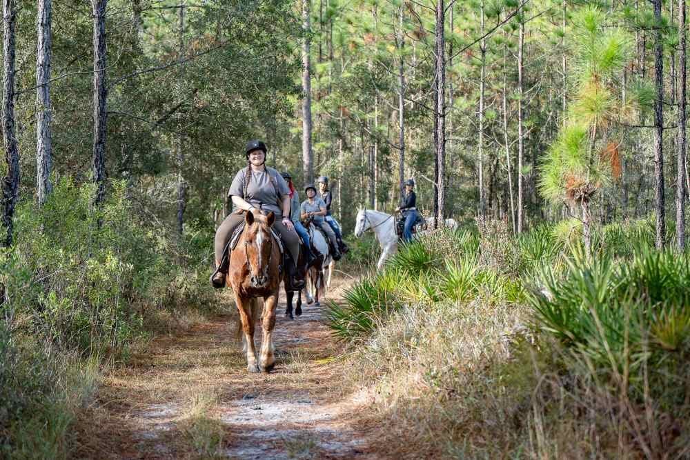 Goethe 1hr Horseback Trail Ride in Bronson, Florida