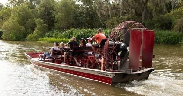Authentic Louisiana Wetlands Airboat Tours in Marrero