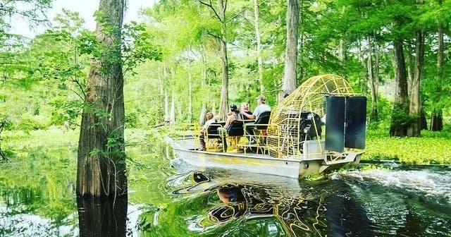 Explore Louisiana’s Wild Swamps with a Private Airboat Adventure