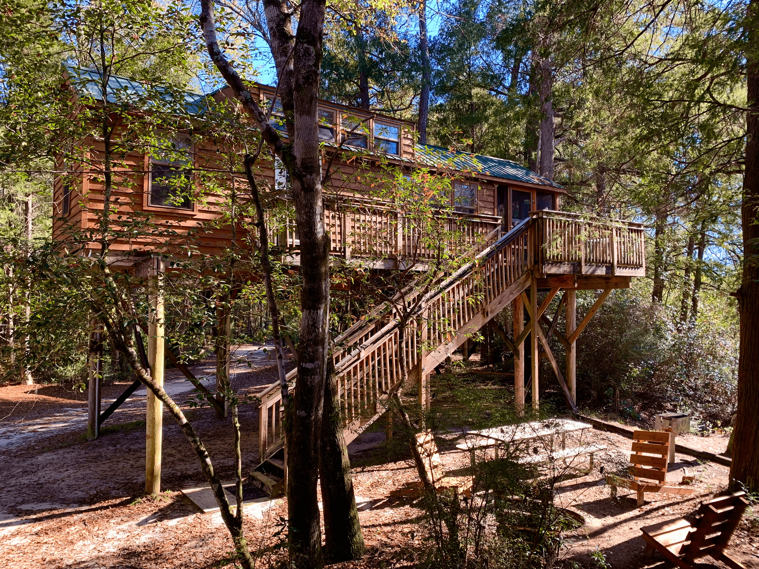 Sarracenia Cabin Retreat by Adventures Unlimited in Milton photo 1