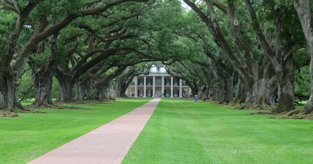 Oak Alley Plantation + Swamp Tour • Small Airboat Ride | Airboat in Vacherie | 
