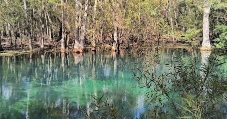 Explore Manatee Springs: Dive the Catfish Hotel Sinkhole and Main Spring in Chiefland, Florida