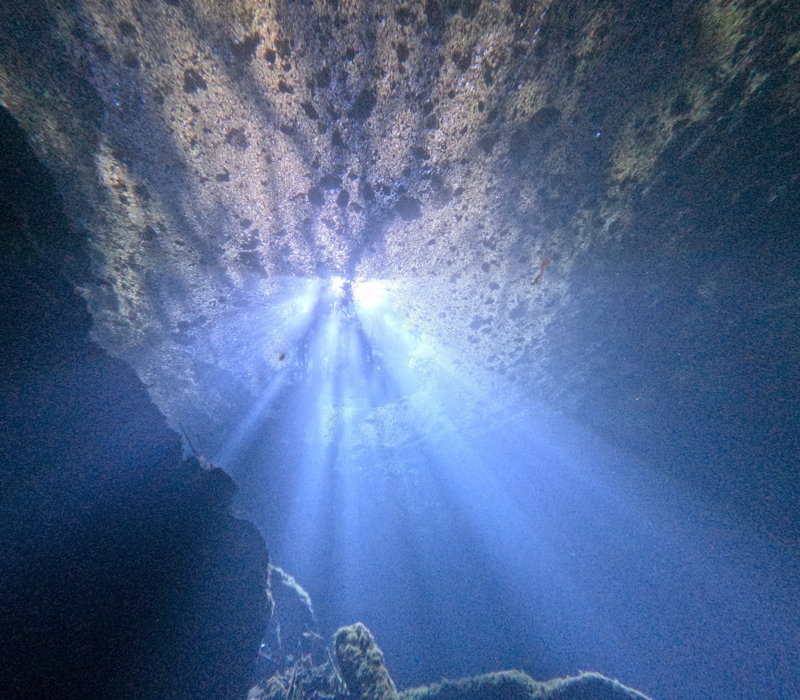 Explore Manatee Springs: Dive the Catfish Hotel Sinkhole and Main Spring in Chiefland, Florida photo 1