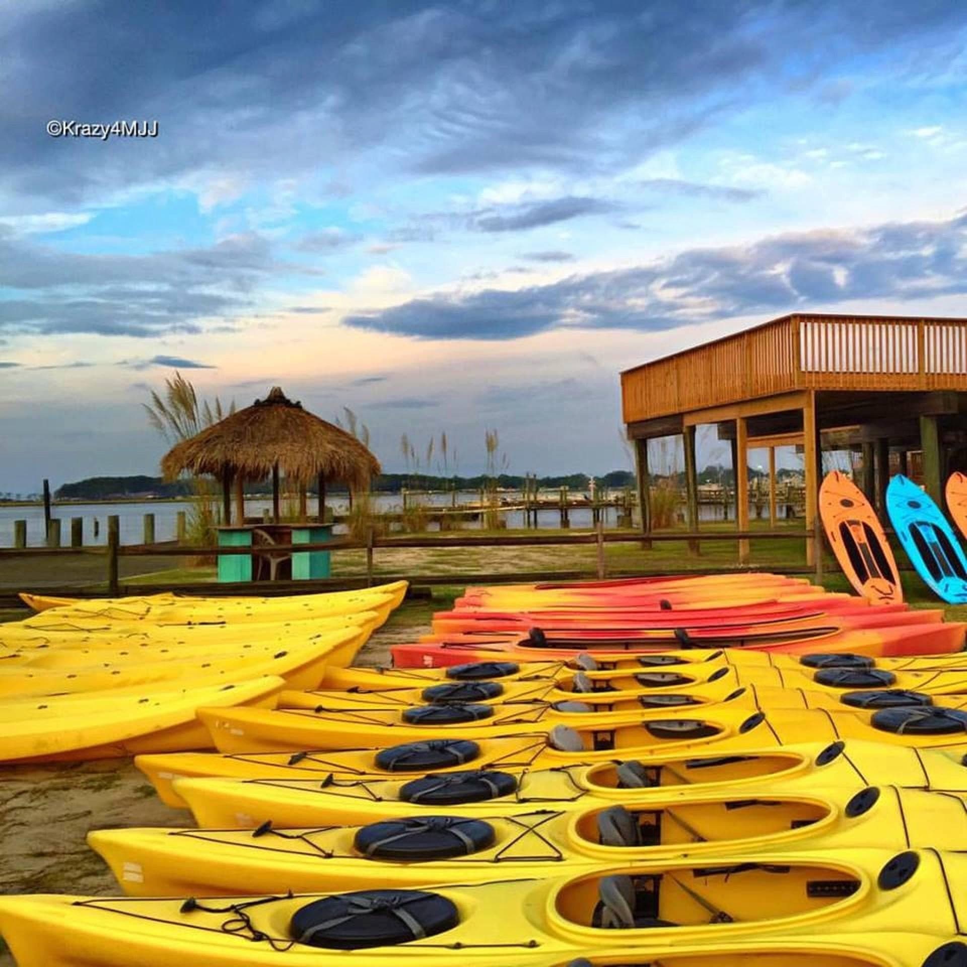 Half Day Kayak, Canoe and SUP Rentals | Guided Tour in Chincoteague | Canoe, Private, Kayak, SUP, Water Activities, Boat Rental
