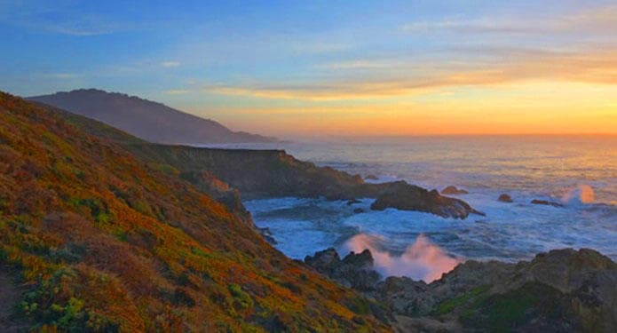 Big Sur in Four Hours: A Private Half-Day Hiking Excursion to Remember