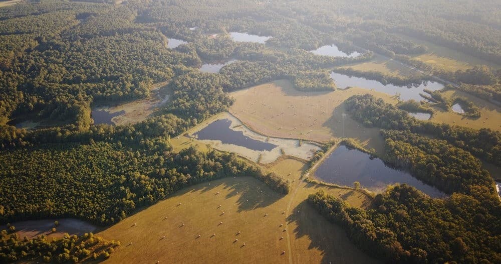 Explore T’s Farm in Baker, FL: A Full-Day Outdoor Adventure for All Ages