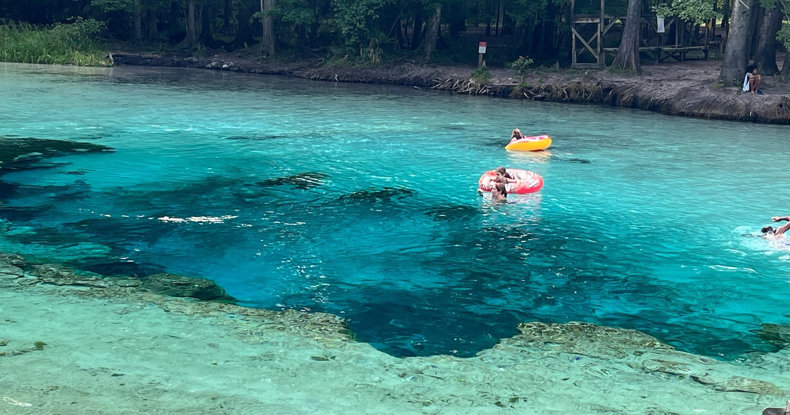 Explore Florida's Suwannee River: 6-Hour Pontoon Boat Adventure from Old Town
