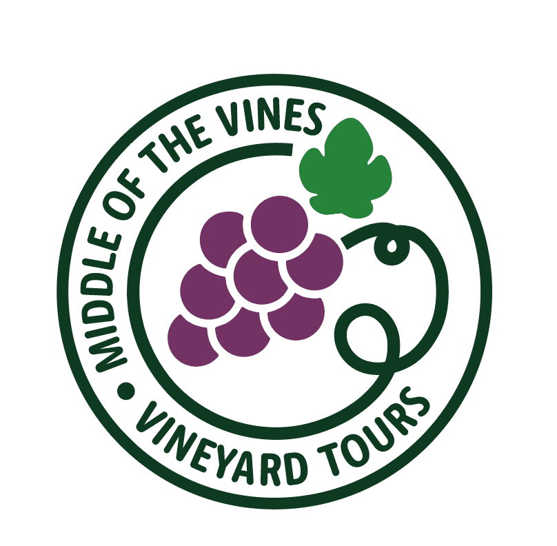 Middle of the Vines: Small-Group Vineyard Tour from Mystic to Stonington photo 1