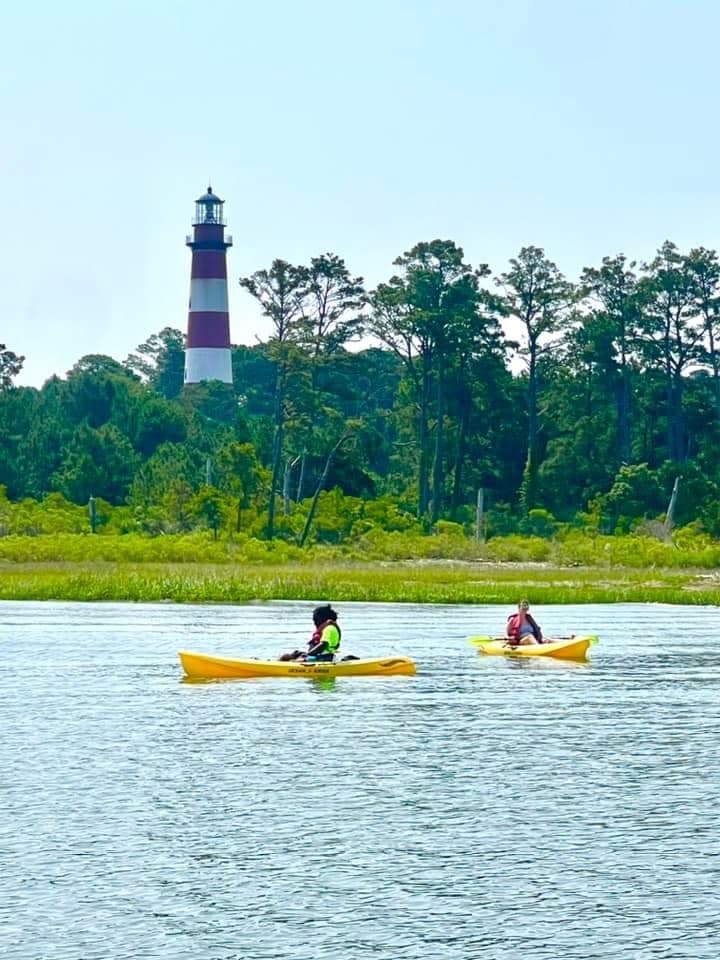 Full Day Kayak, Canoe and SUP Rentals | Canoe in Chincoteague | Kayak, SUP, Water Activities, Boat Rental