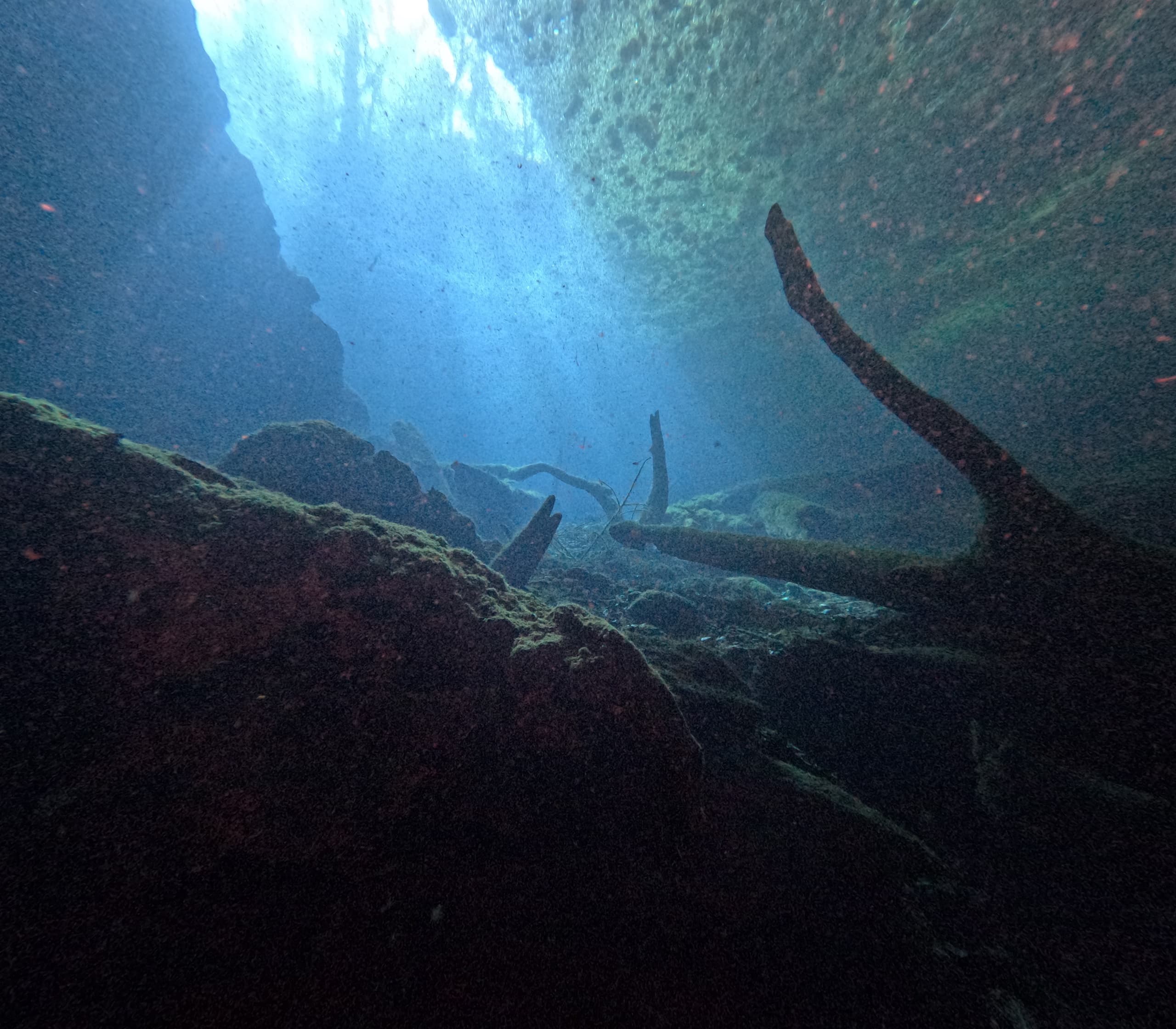 Explore Manatee Springs: Dive the Catfish Hotel Sinkhole and Main Spring in Chiefland, Florida photo 2