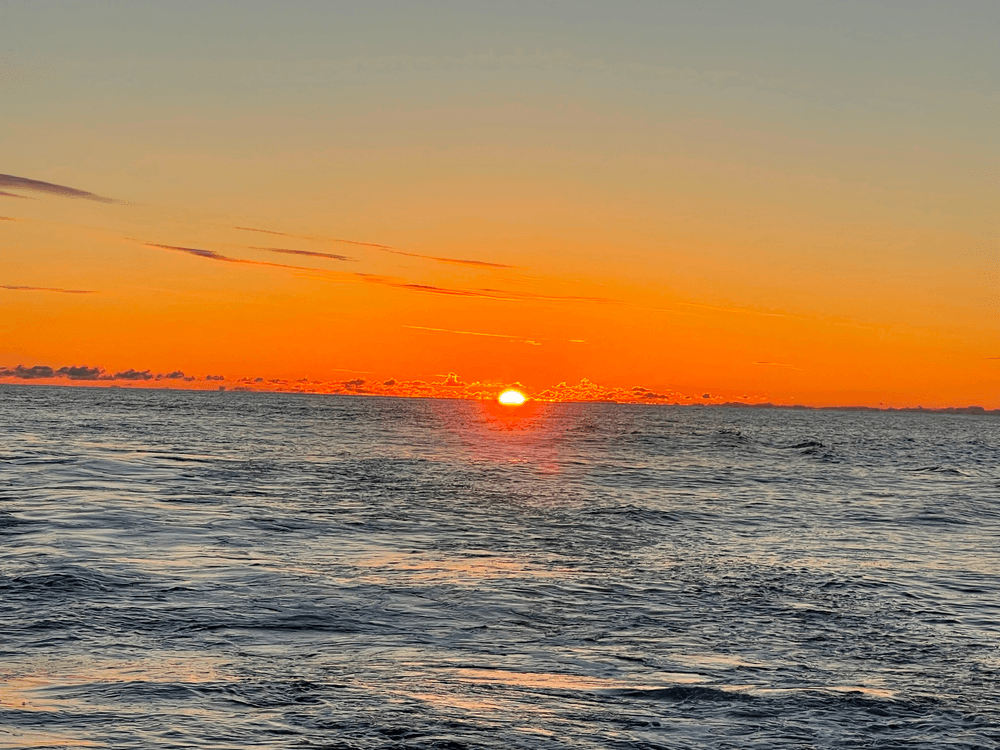 Dinner Cruise - Seaside Heights | Dinner Boat in Seaside Heights, New Jersey photo 3