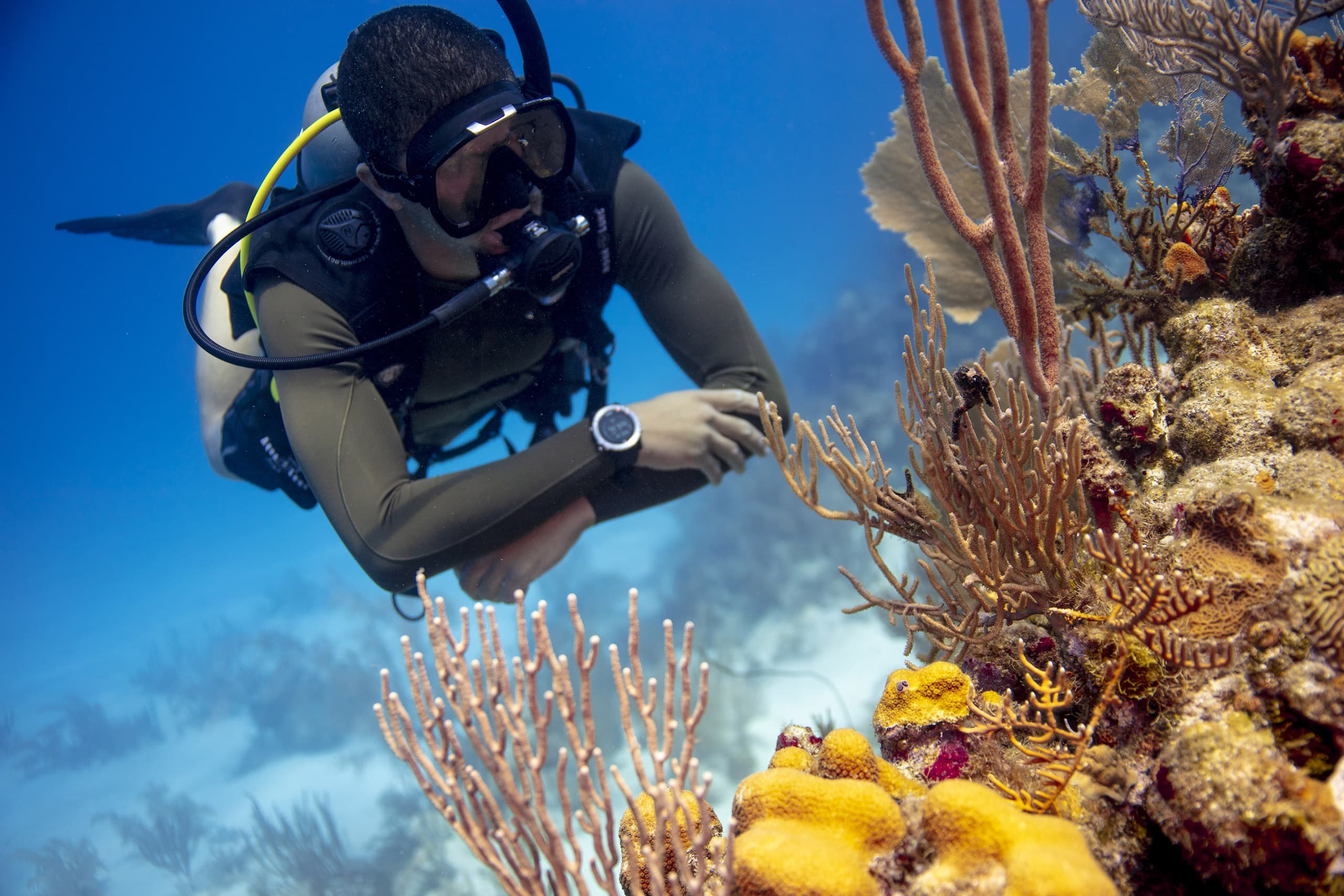 Peak Performance Buoyancy Adventure in O'Brien, Florida