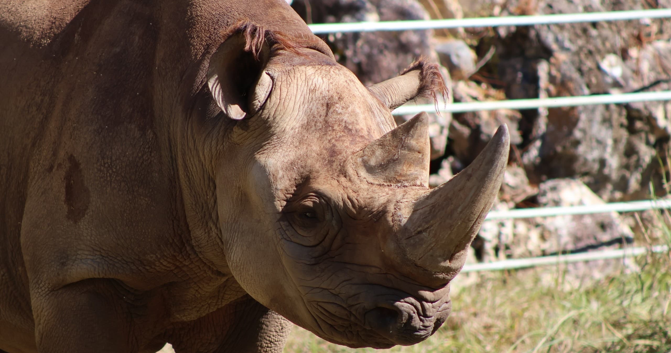 Albany Zoo Overnight Birthday Sleepover: Animal Encounters, S'mores & Morning Behind-the-Scenes