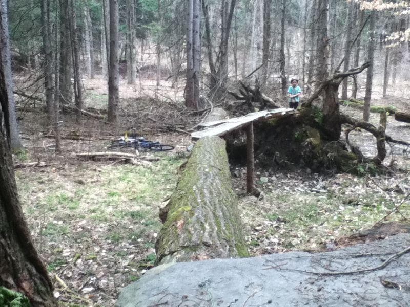 Shindagin Hollow: The Premier Mountain Biking Destination in Central New York