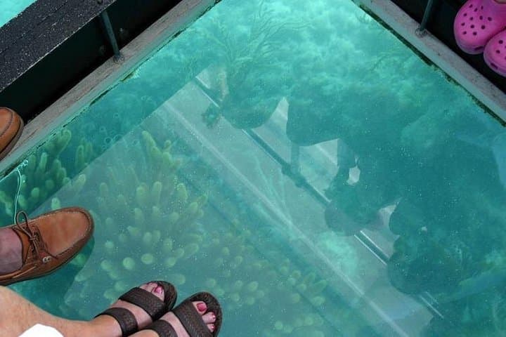 Bermuda Triangle Twilight Cruise: Glass-Bottom Night Sail from Hamilton photo 3
