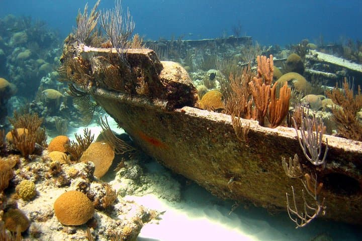 Shipwreck Snorkel in Bermuda: Explore the Constellation & Montana Wrecks photo 1