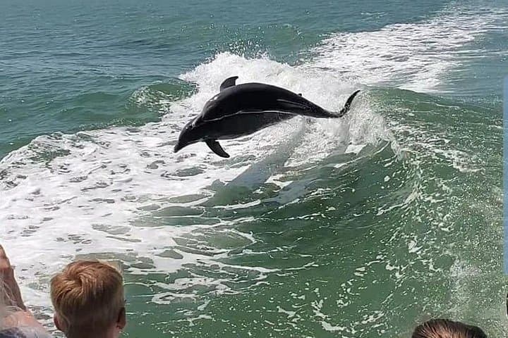 Speed, Salt, and Surf: Chasing Dolphins off Myrtle Beach