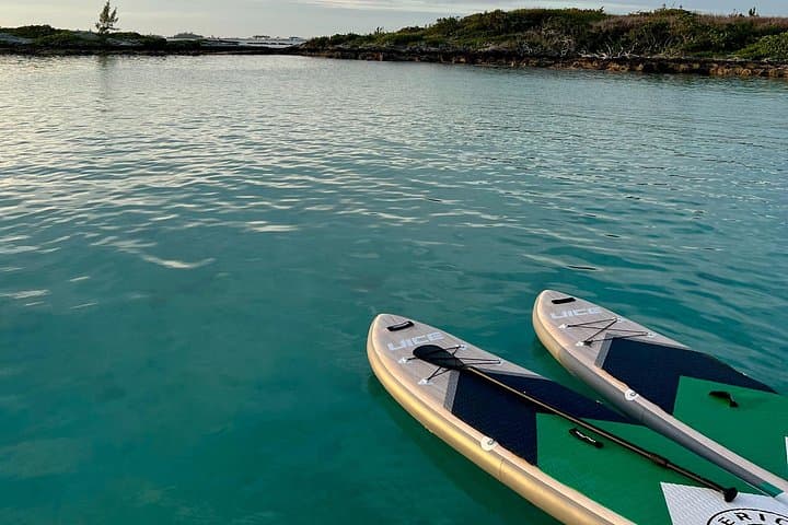 Sail Bermuda: Private Catamaran Snorkeling, Shipwrecks & Cliff Jumping photo 4