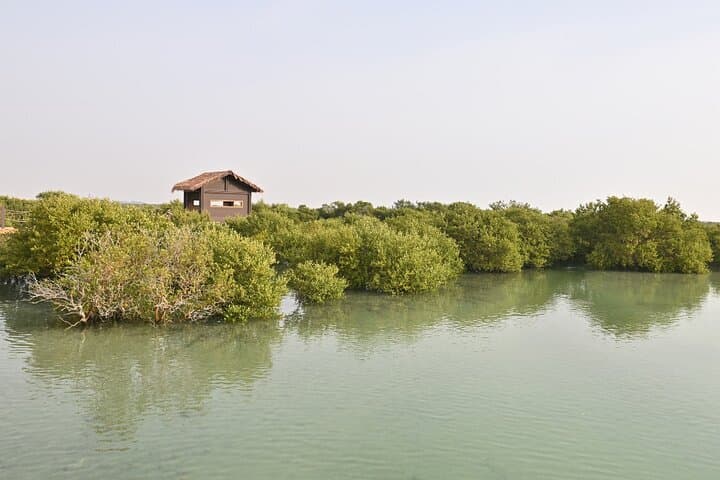 Private North Qatar Tour: Al Zubarah Fort & Northern Coast Highlights