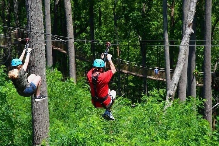 Flying Through History: Ziplining and Trails of Kereita Forest
